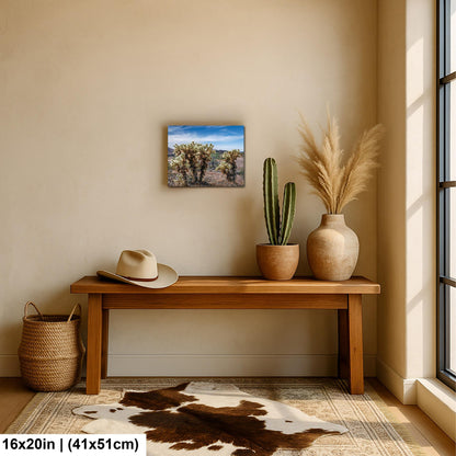Teddy Bear Cholla Cactus Sonoran Desert Arizona Photography Print, Southwest Wall Art