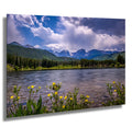 Rocky Mountain National Park Print: Golden Wildflower Lake Photography