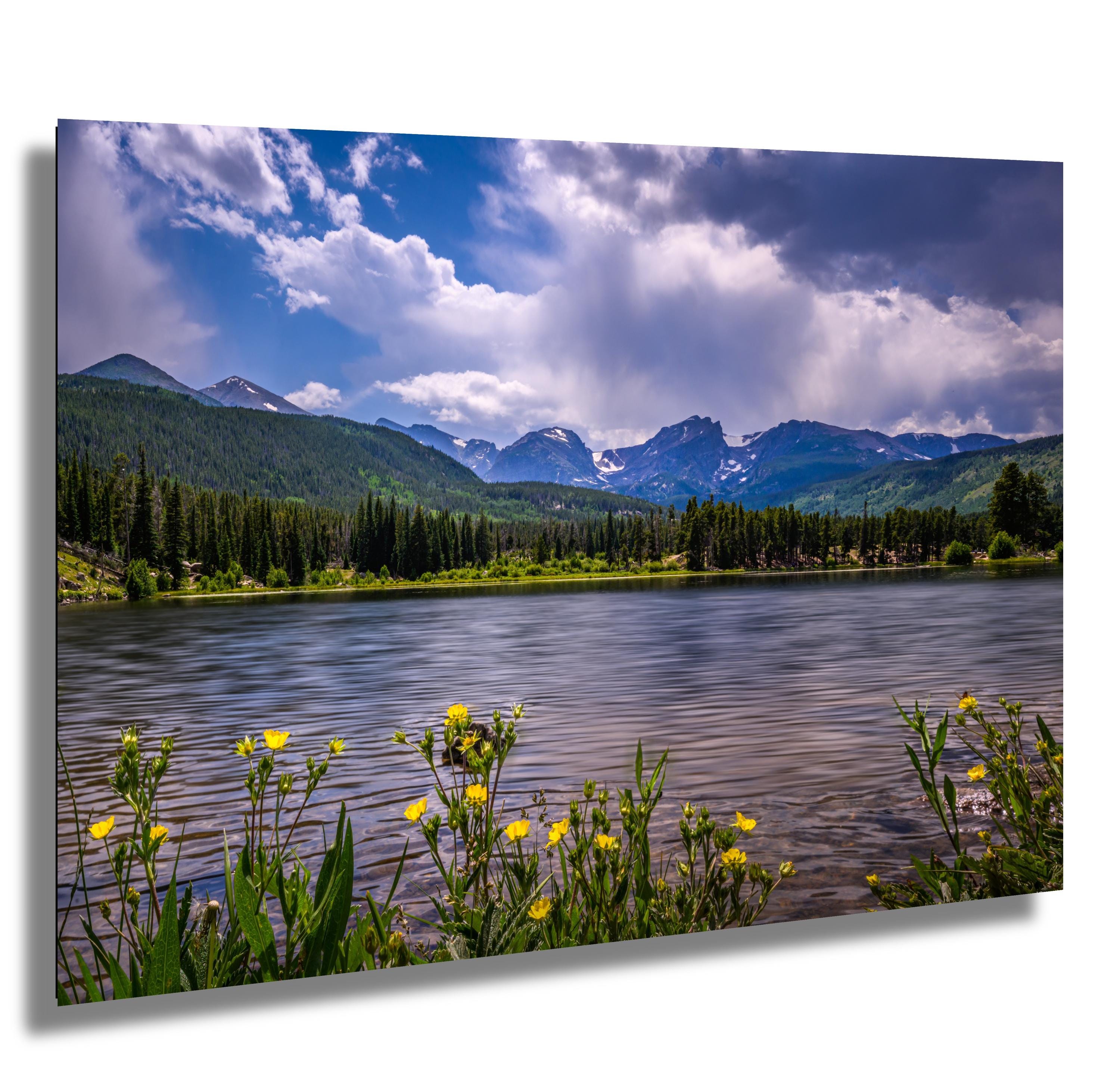 Rocky Mountain National Park Print: Golden Wildflower Lake Photography