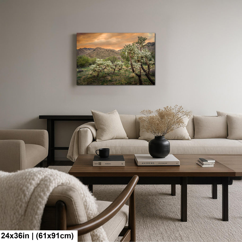 Cholla Cactus at Sunset in Catalina State Park Tucson Arizona Photography Print