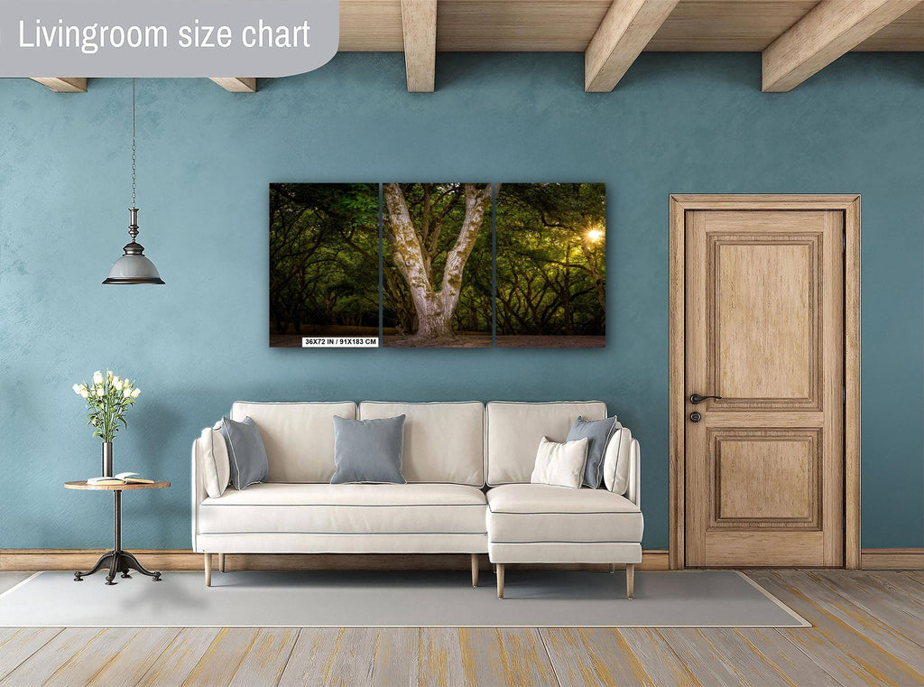 Oregon Forest Sunburst Tree Print, Pacific Northwest Nature Wall Art