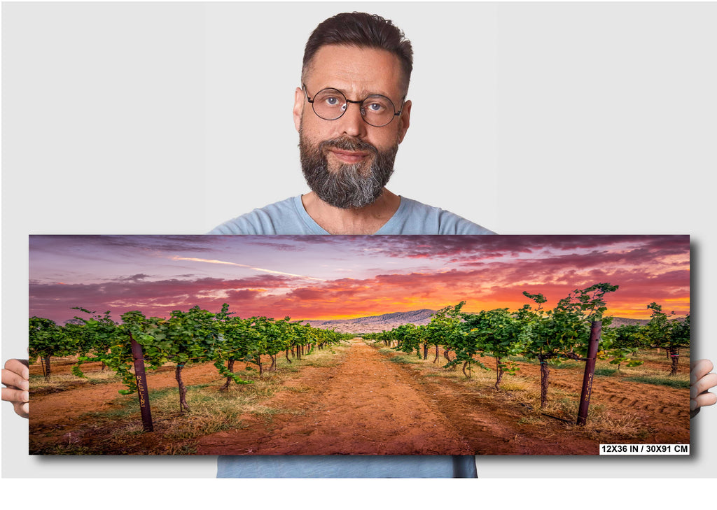 Arizona Wine Country: Coronado Vineyards Landscape Photography Wall Art