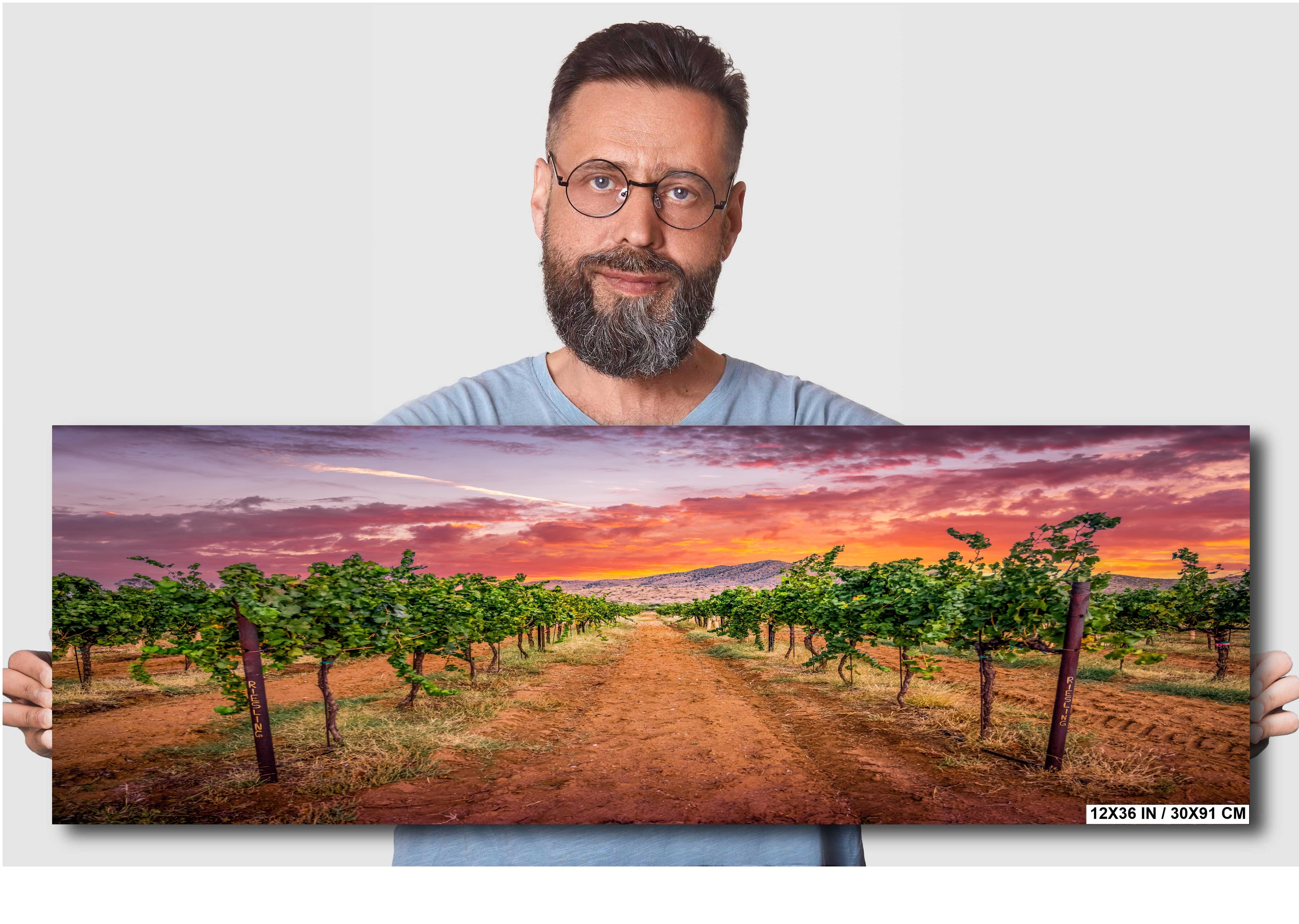 Arizona Wine Country: Coronado Vineyards Landscape Photography Wall Art