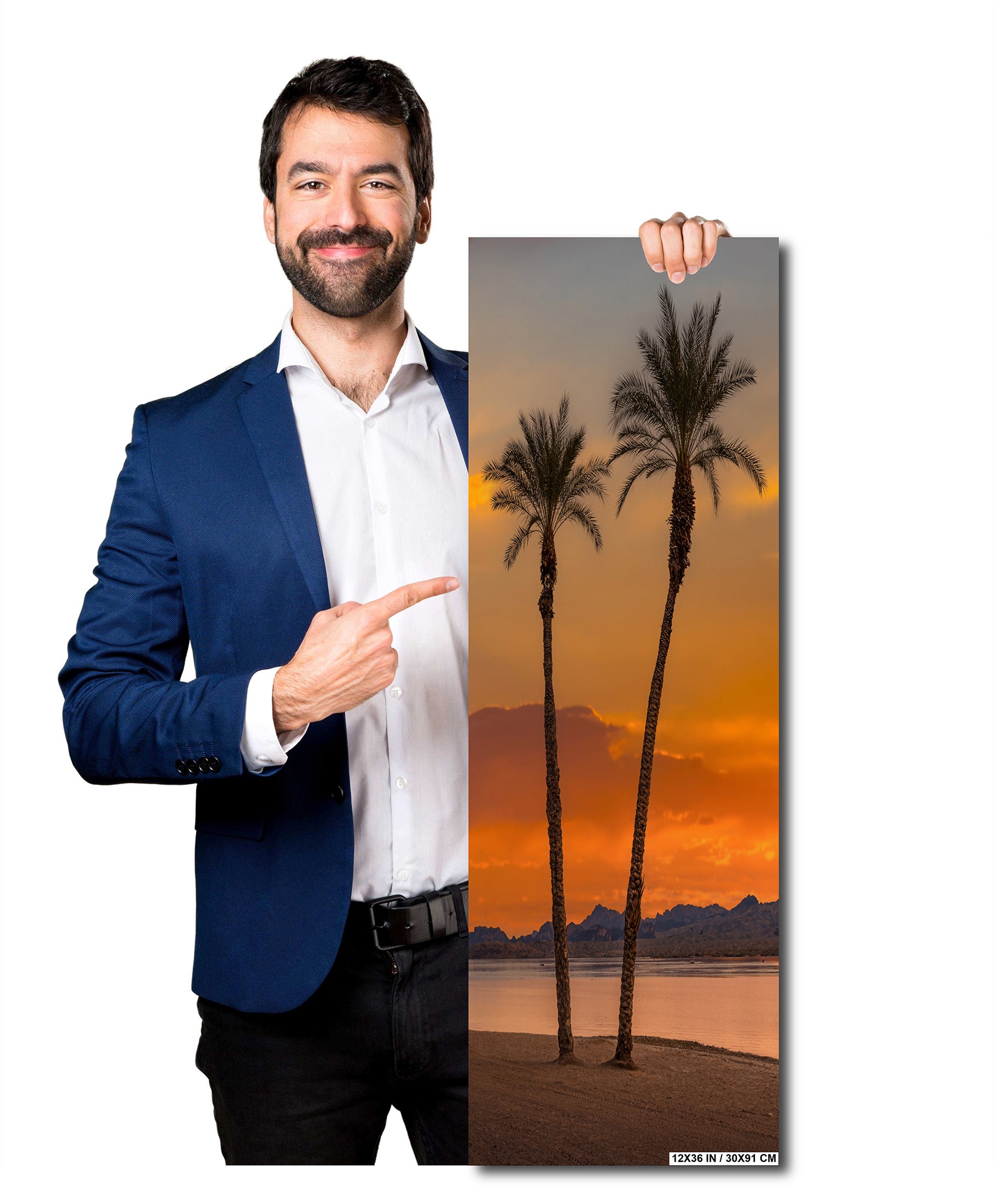 Lake Havasu Palm Tree Arizona Desert Nature Photography Wall Art
