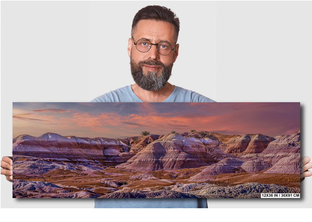 Petrified Forest Arizona Landscape Wall Art Photography