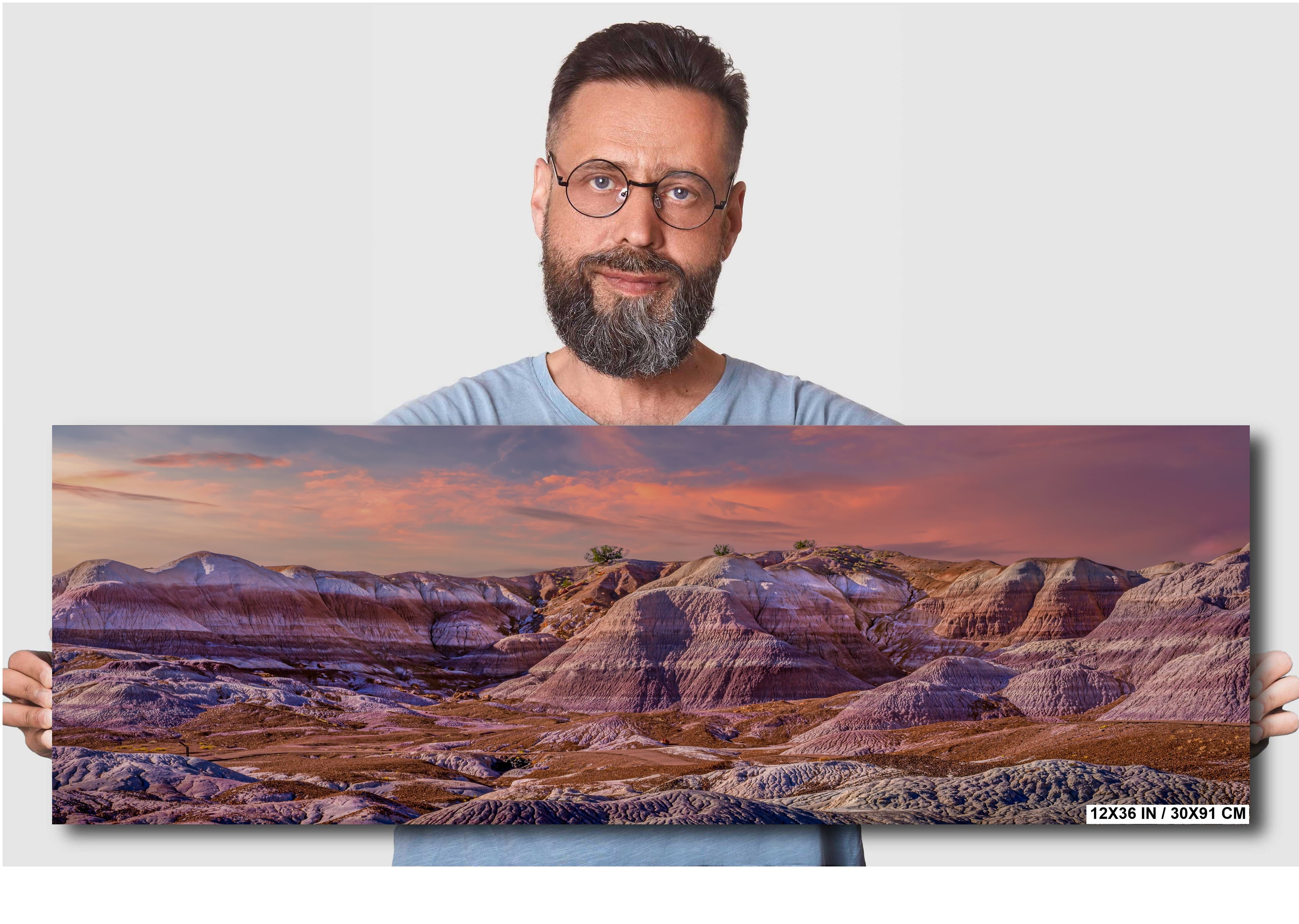 Petrified Forest Arizona Landscape Wall Art Photography