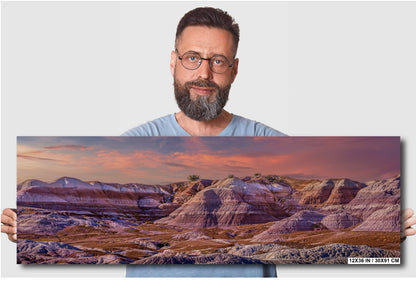 Petrified Forest Arizona Landscape Wall Art Photography