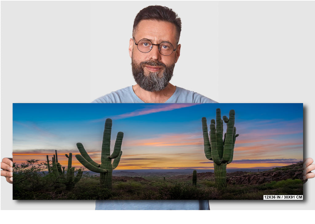 Saguaro Cactus Arizona Desert Landscape Photography Wall Art