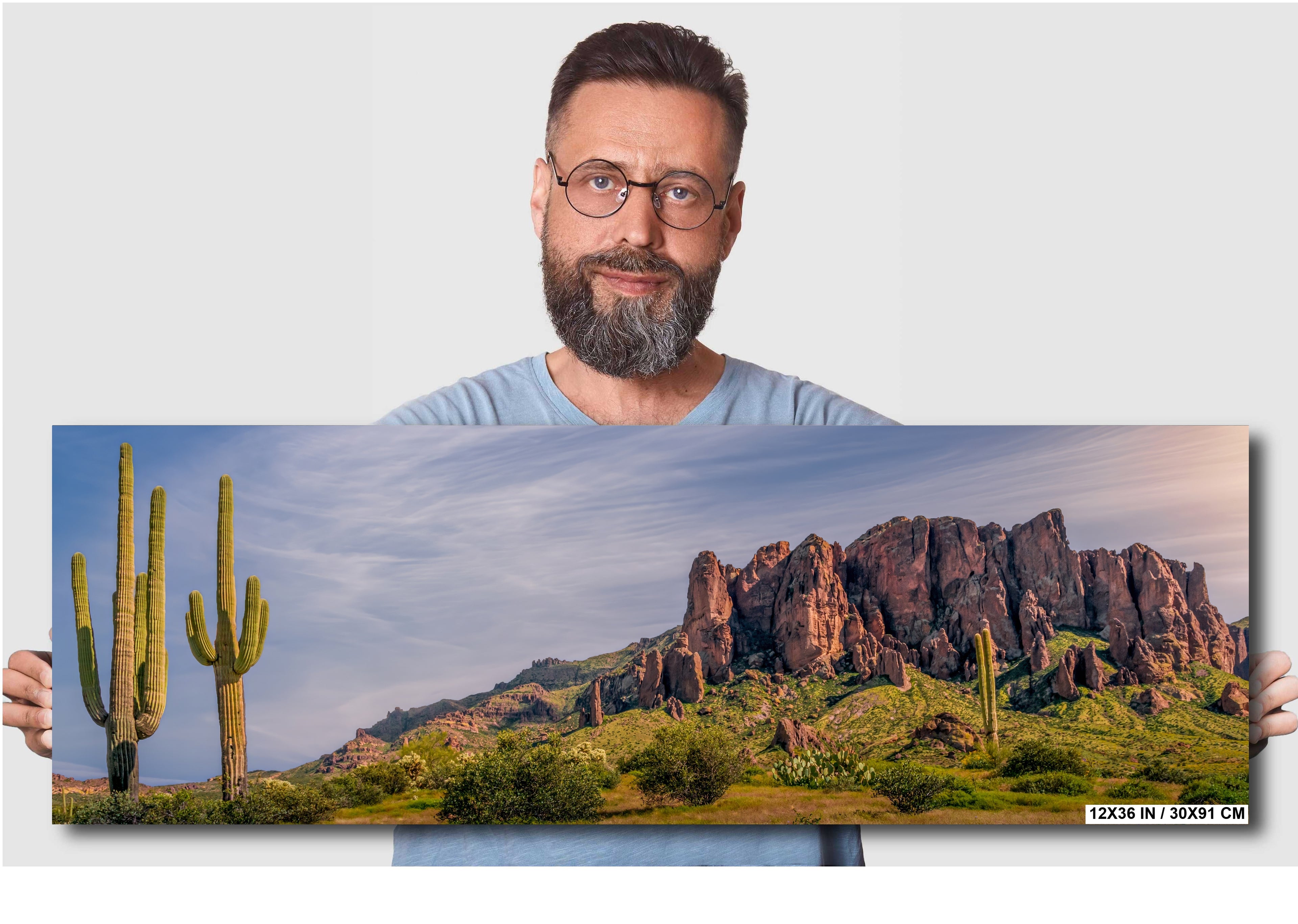 Lost Dutchman State Park Arizona Desert Landscape Photography Wall Art