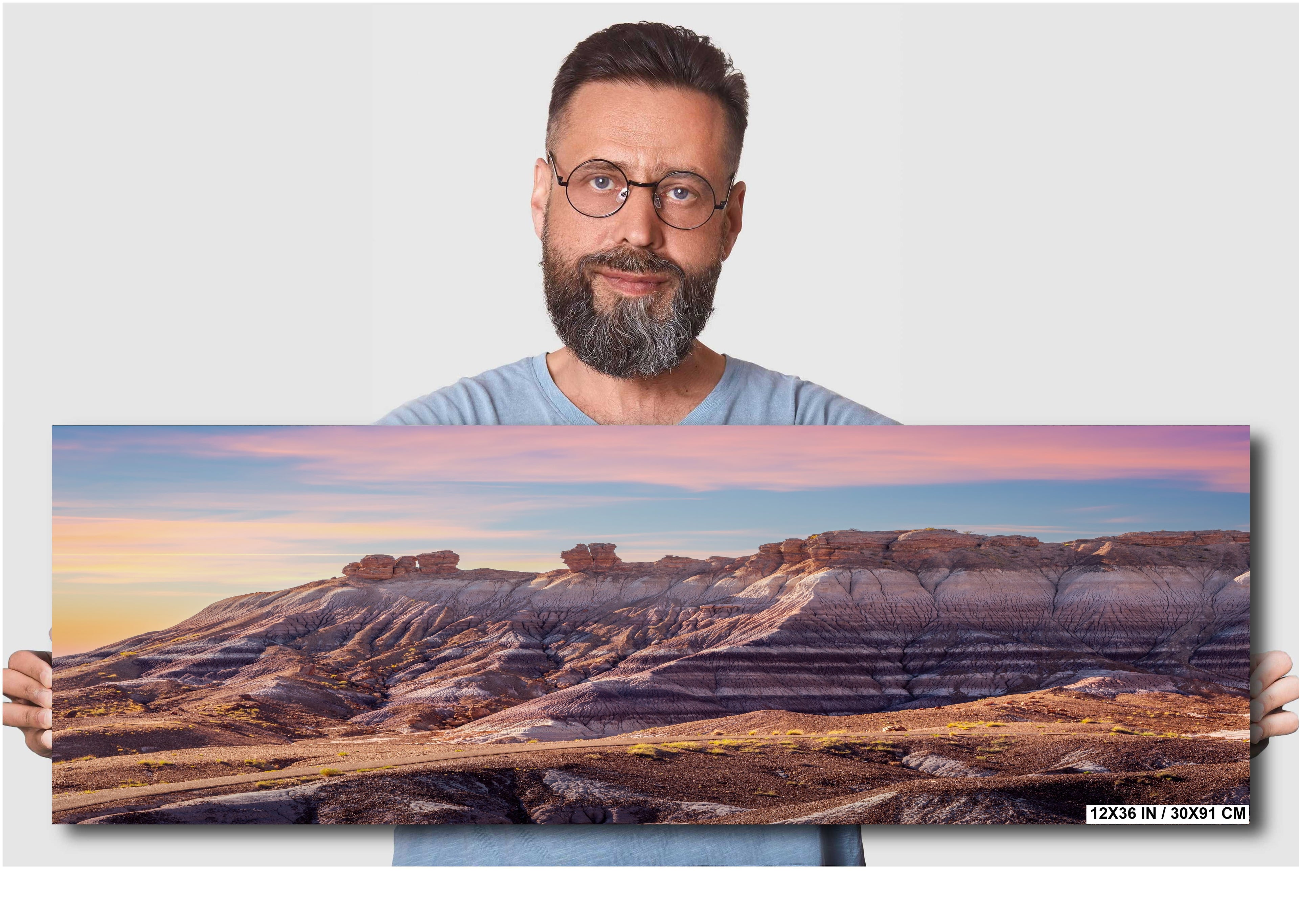 Petrified Forest Arizona Landscape Photography Wall Art Photography