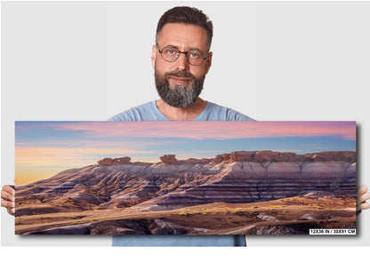 Petrified Forest Arizona Landscape Photography Wall Art Photography