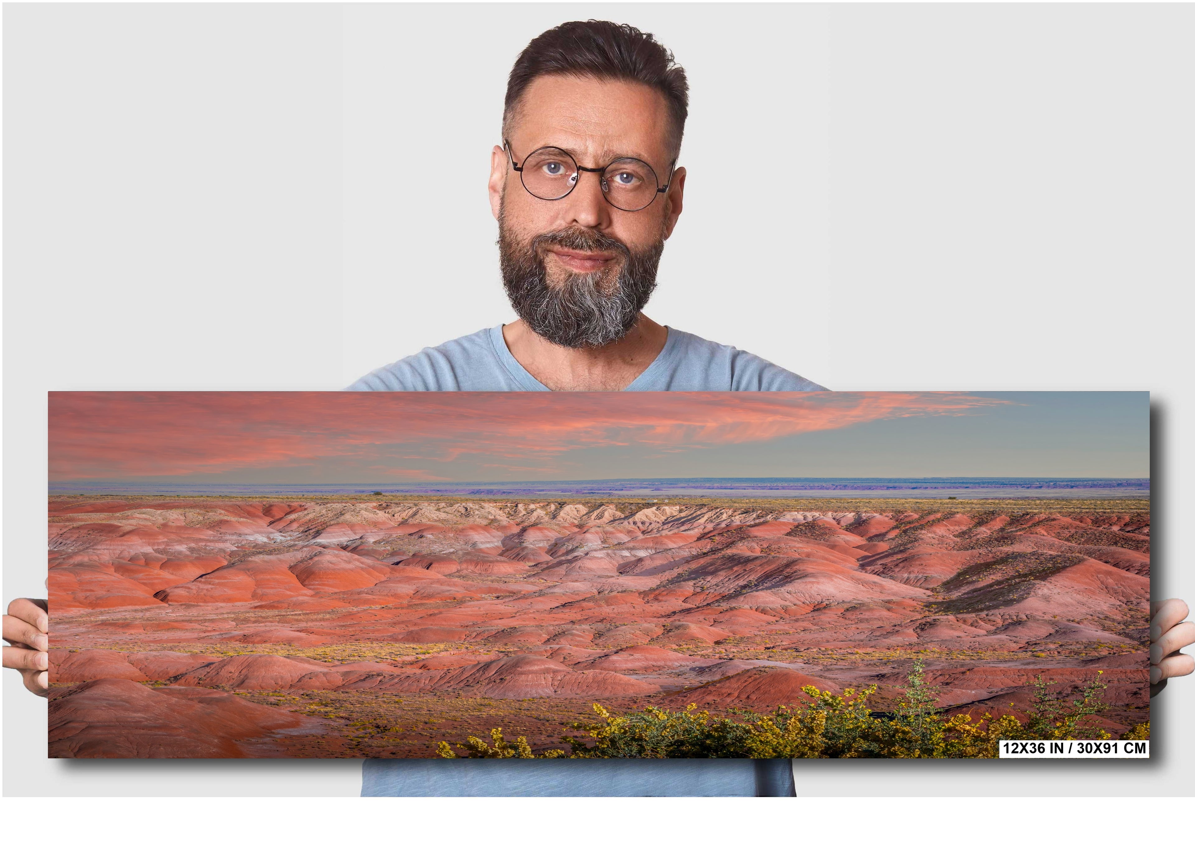 Nature's Color Palette: Painted Desert Arizona Wall Art Metal Acrylic Print Nature Landscape Photography