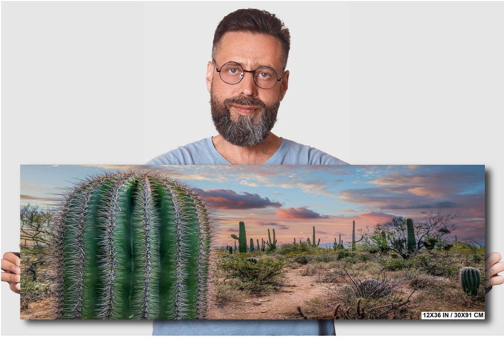 Saguaro Cactus Sunset Gold Canyon Arizona Photography Wall Art