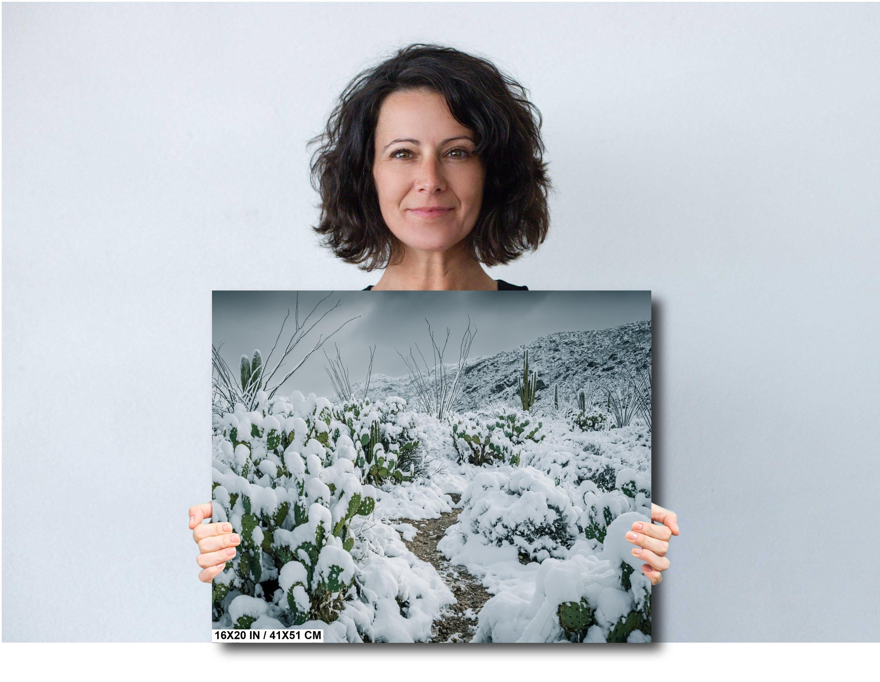 Snowy Saguaro Cactus Print: Tucson Arizona Winter Desert Photography