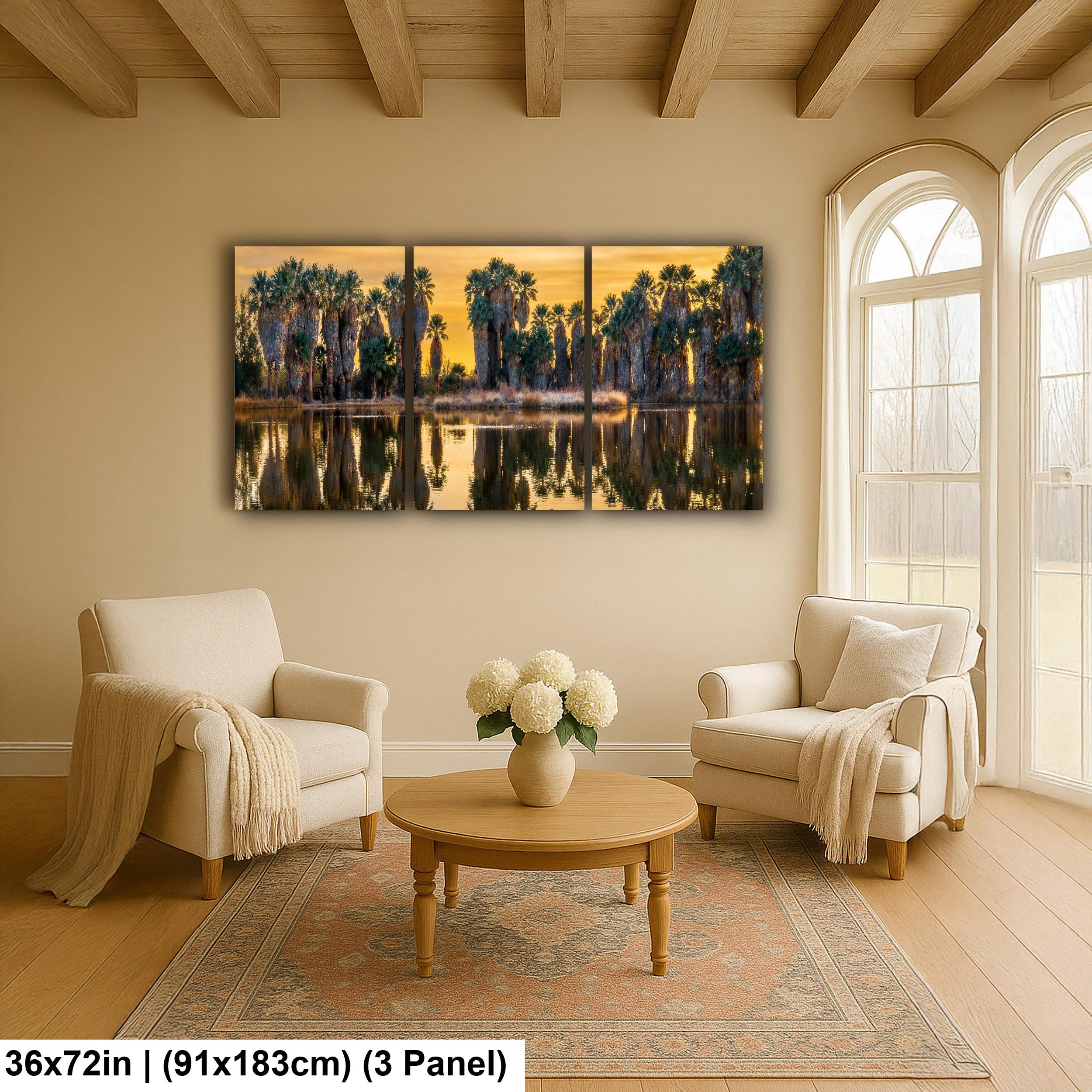 Agua Caliente Park Palm Oasis at Sunset - Tucson Arizona Reflection Photography Print
