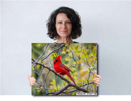 Northern Cardinal Fine Art Print: Arizona Fall Foliage Wildlife Photography