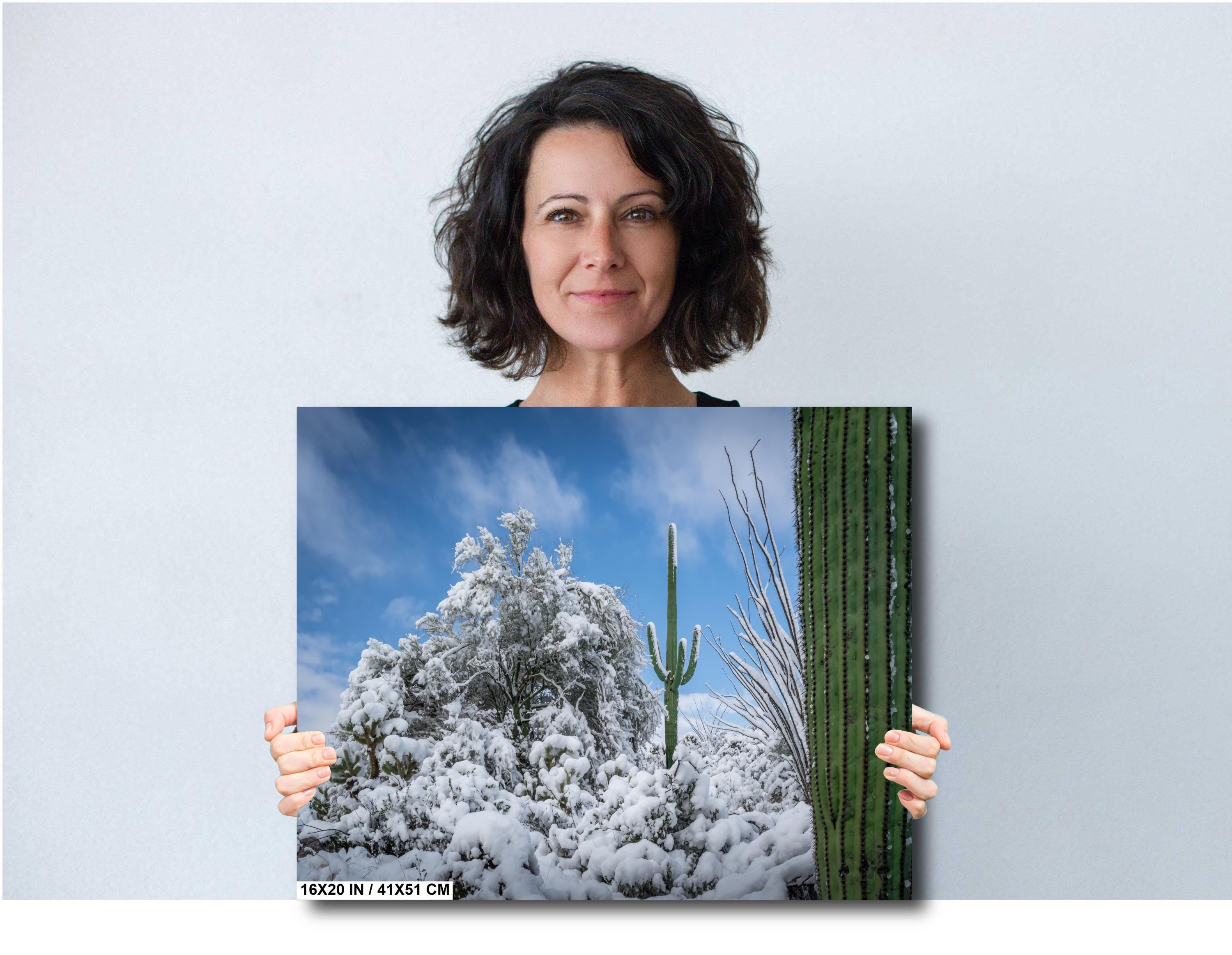 The White Desert: Snowfall in Saguaro National Park Tucson Arizona
