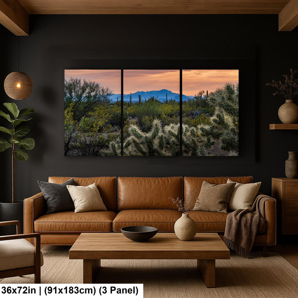 Sonoran Desert Sunset with Saguaros and Cholla, Tucson Arizona Photography Print