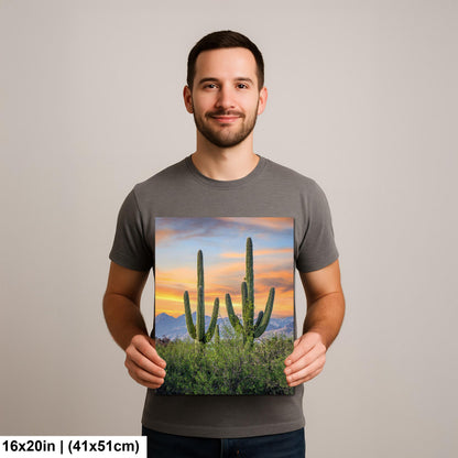 Desert Sunset with Giant Saguaros Photography Print, Tucson Arizona Wall Art, Southwest Landscape Decor