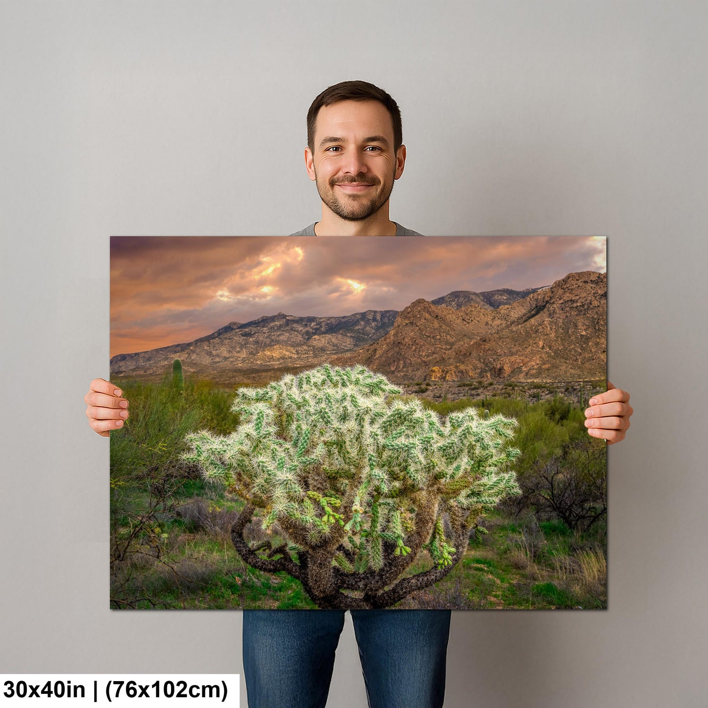 Cholla Cactus at Sunset - Catalina State Park Tucson Arizona Photography Print