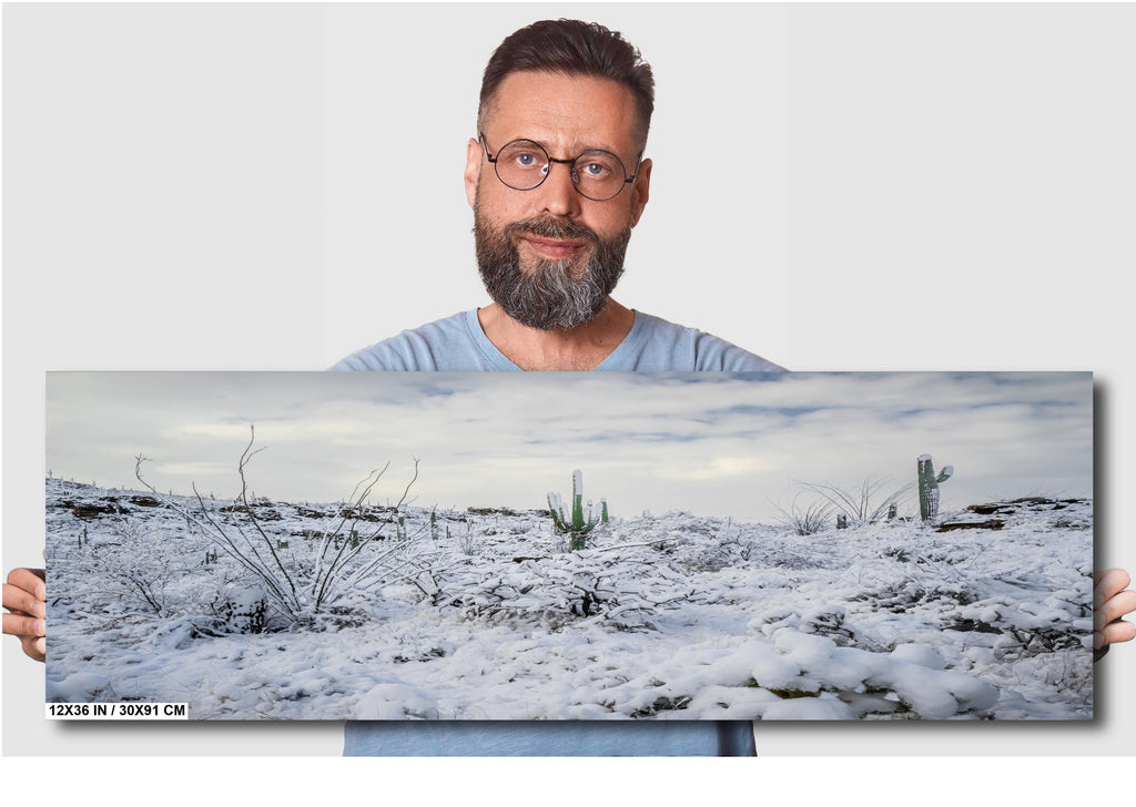 Saguaro National Park Winter Snow Print: Tucson Desert Photography