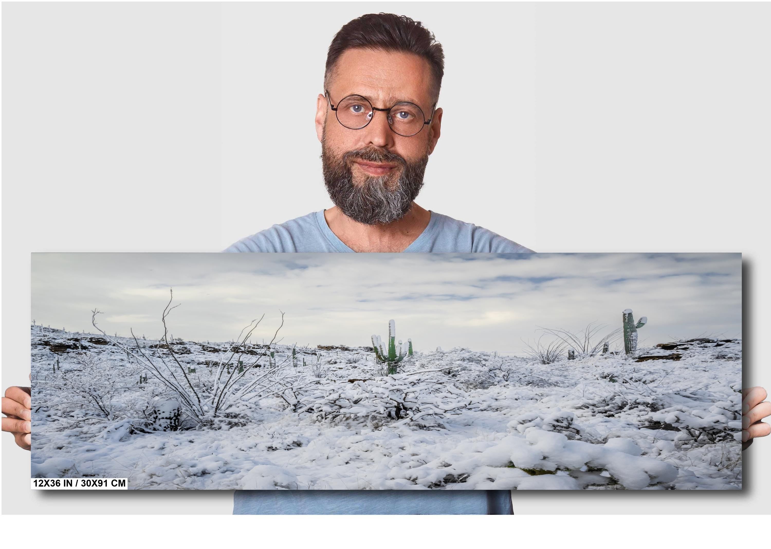 Saguaro National Park Winter Snow Print: Tucson Desert Photography