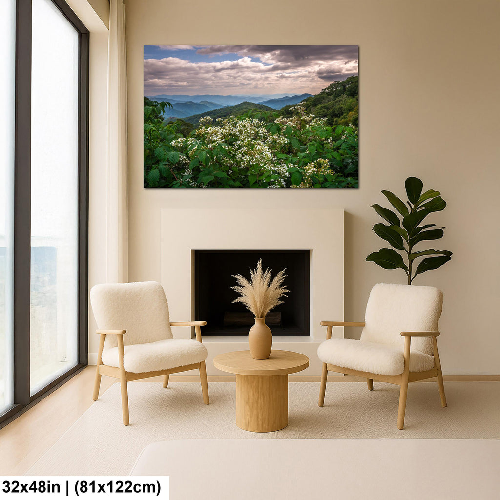 Mountain Meadow: Wildflowers Great Smoky Mountains Tennessee Photo Wall Art