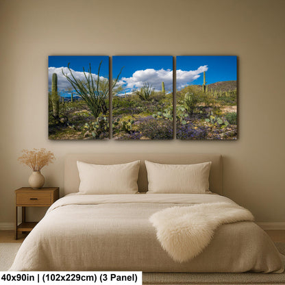 Sonoran Desert Spring Wildflowers with Saguaros - Sabino Canyon Tucson Arizona Photography Print
