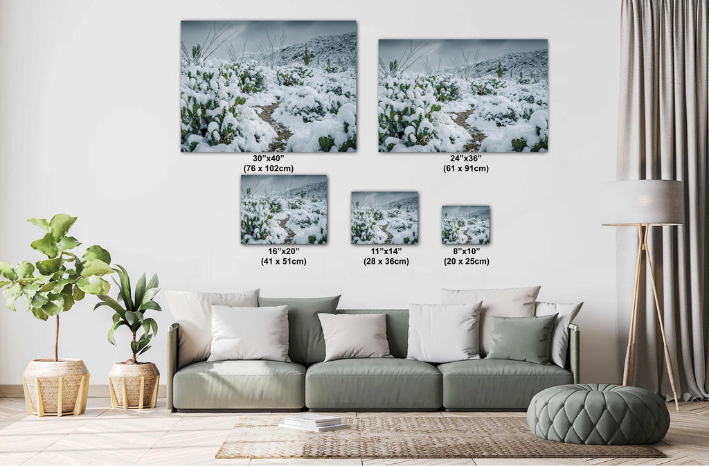 Snowy Cactus Wall Art - Saguaro National Park Winter Cactus Print | Desert Decor