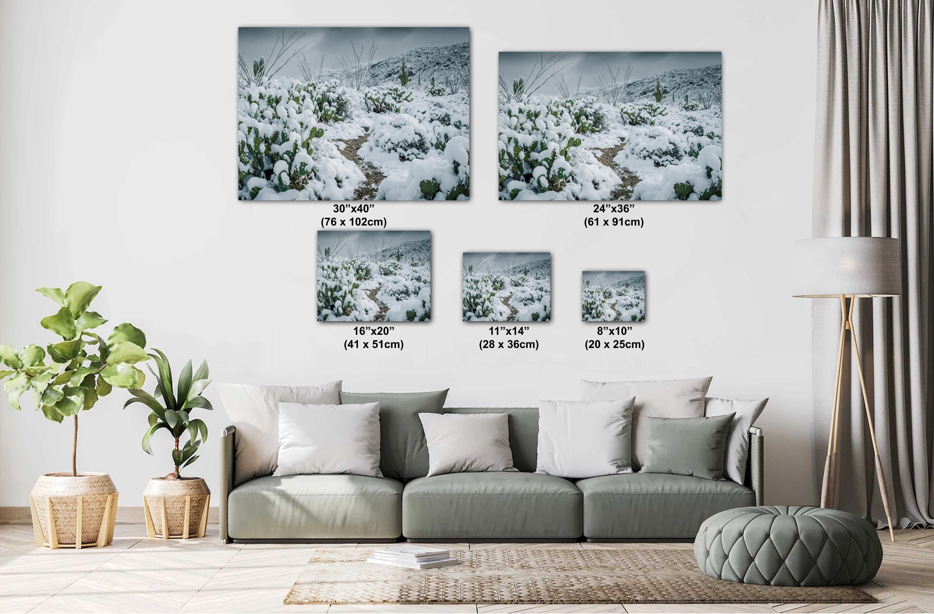 Snowy Cactus Wall Art - Saguaro National Park Winter Cactus Print | Desert Decor
