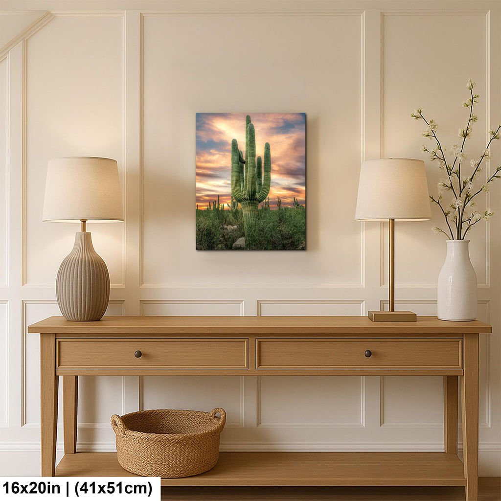 Towering Multi-Arm Saguaro at Sunset - Catalina State Park Tucson Arizona Sonoran Desert Photography Print