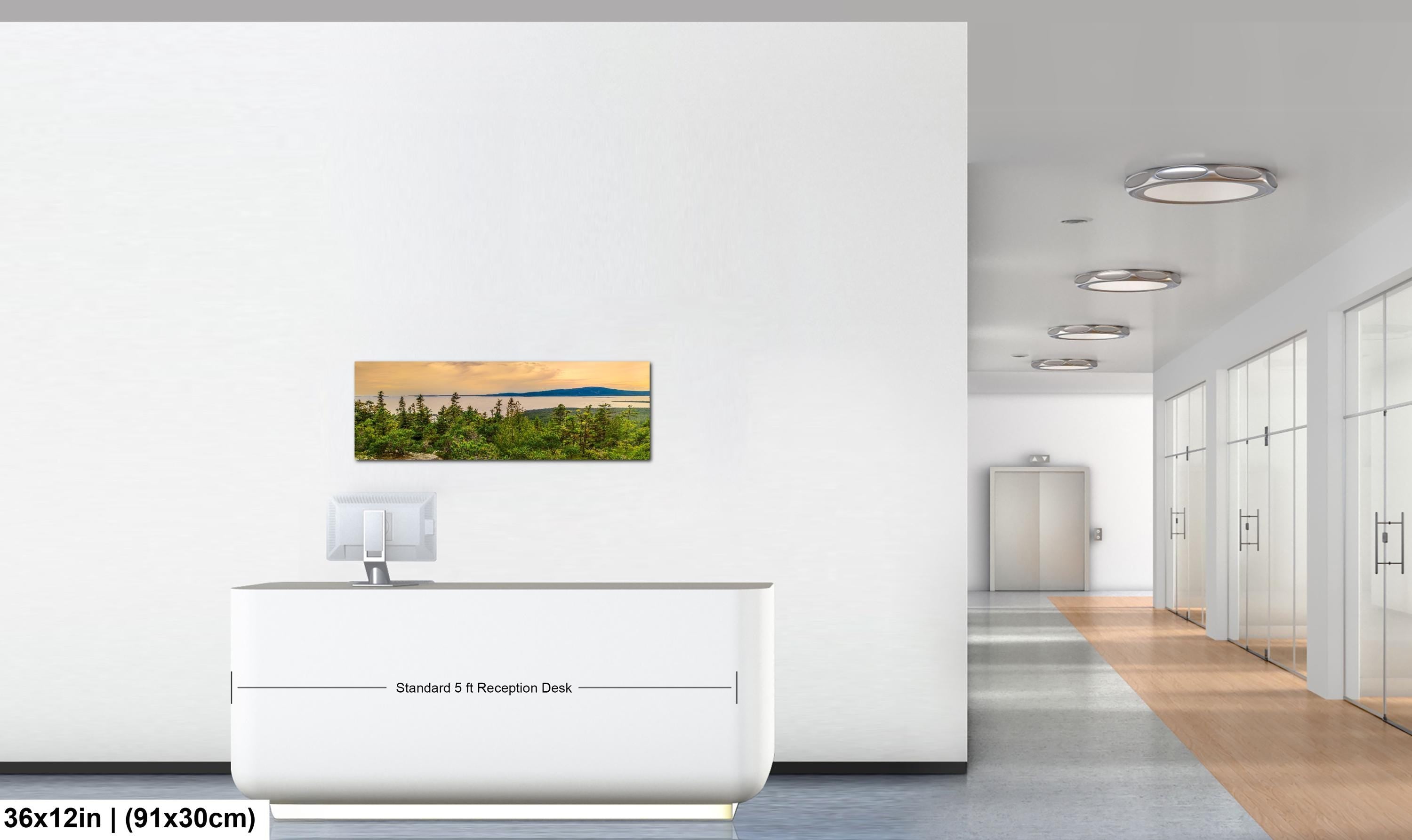Coastal Overlook: Schoodic Peninsula Acadia National Park ME Photo Wall Art