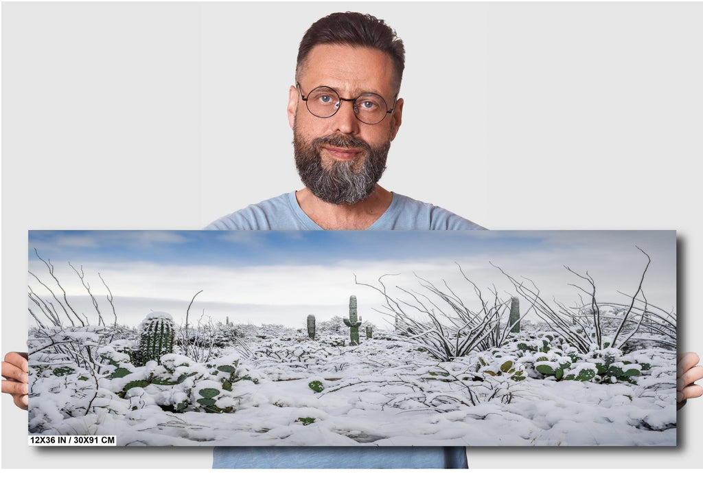 Snowy Saguaro Cactus Print: Tucson Arizona Winter Landscape