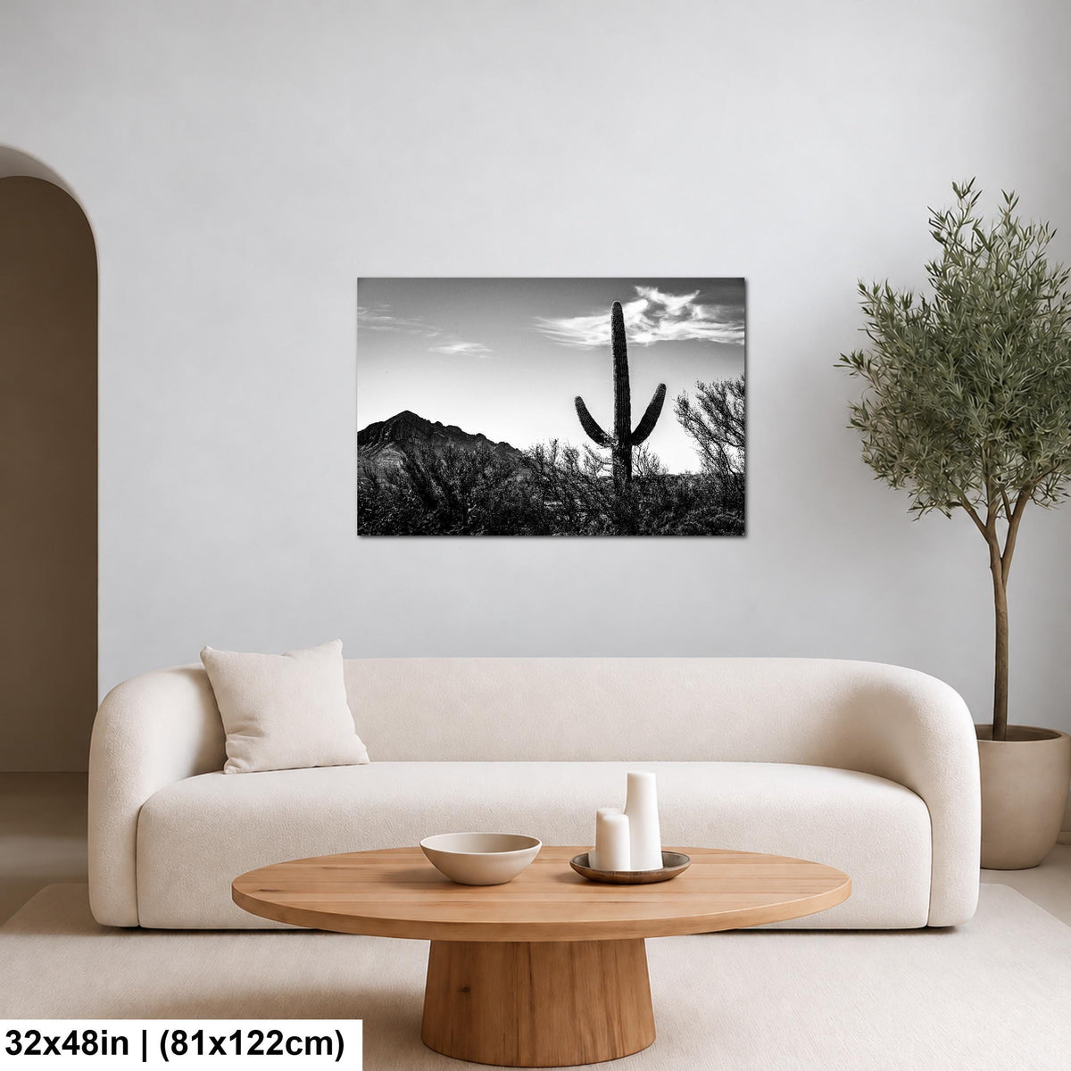 Desert Sentinel: Saguaro Cactus Oro Valley AZ Black White Photo Wall Art