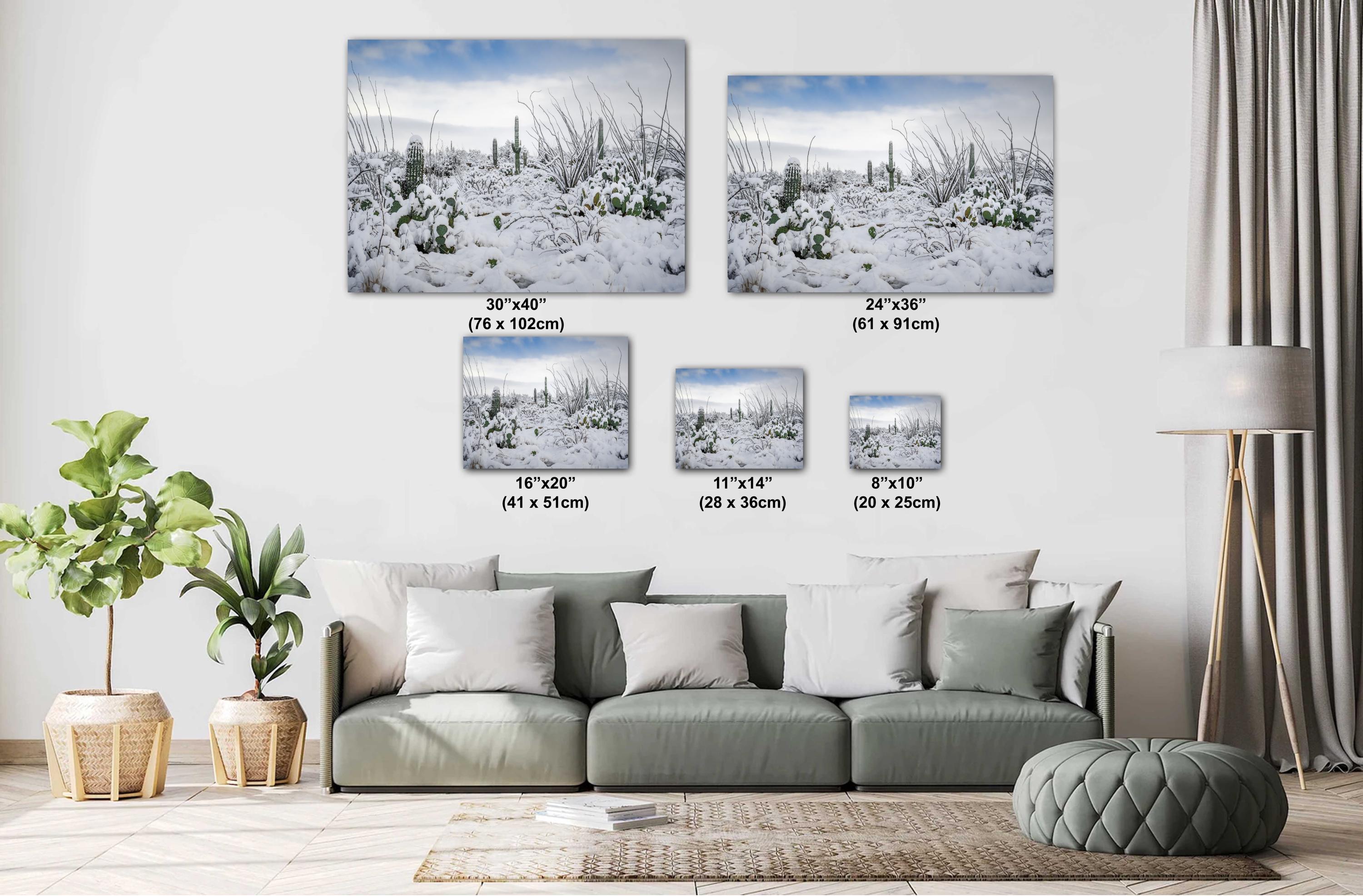 Snowy Saguaro Cactus Print: Tucson Arizona Winter Landscape