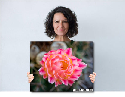 Cactus Flower Photography Print: Pink, Yellow Bloom, Desert Macro Wall Art