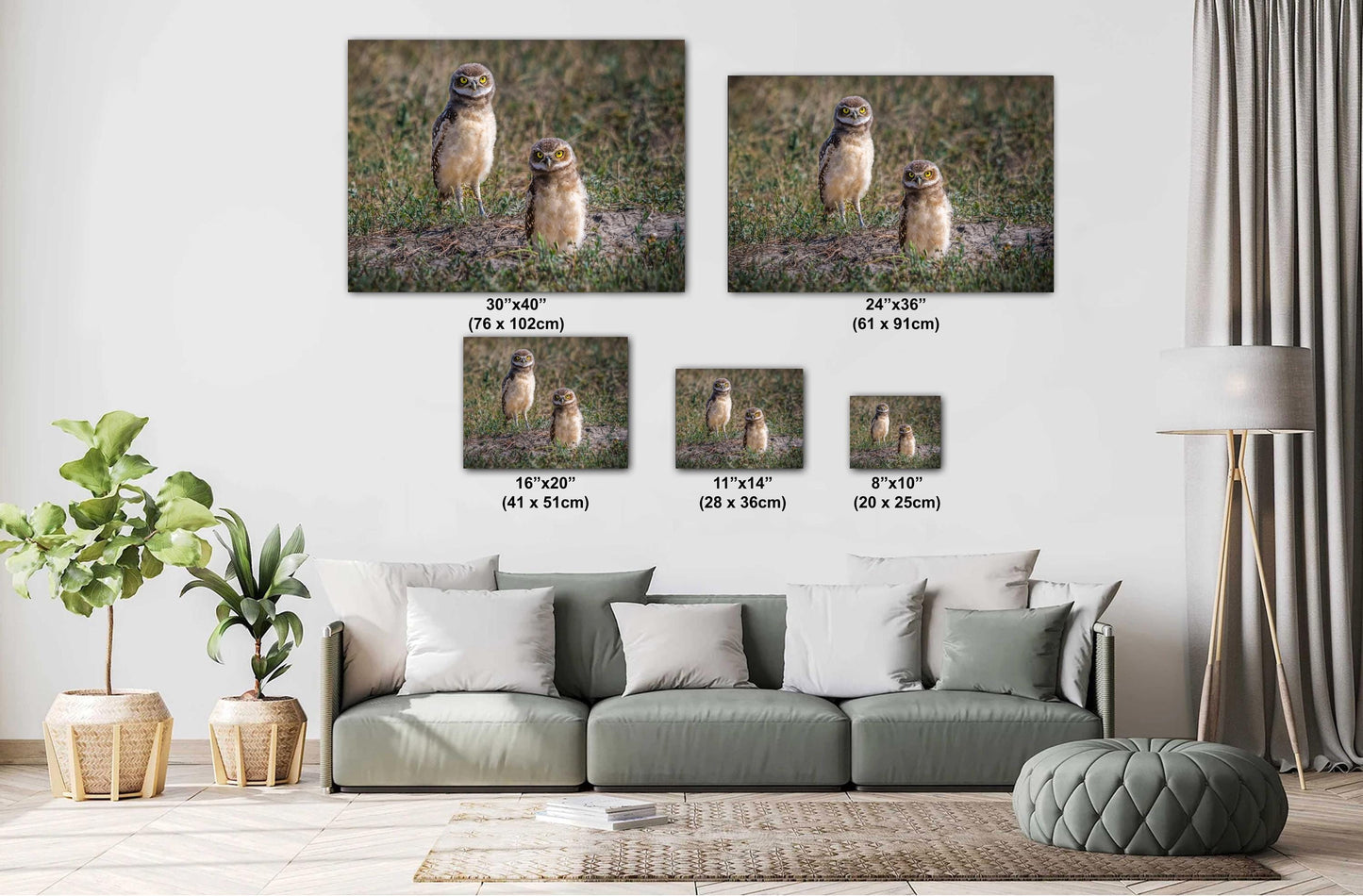 Burrowing Owls Pair Badlands National Park South Dakota Wildlife Photography Print, Wall Art Nature Decor Canvas Metal Acrylic