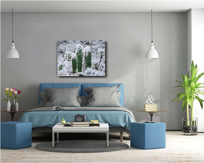 Saguaro Cactus Photography: Black and White Desert Minimalist Wall Art