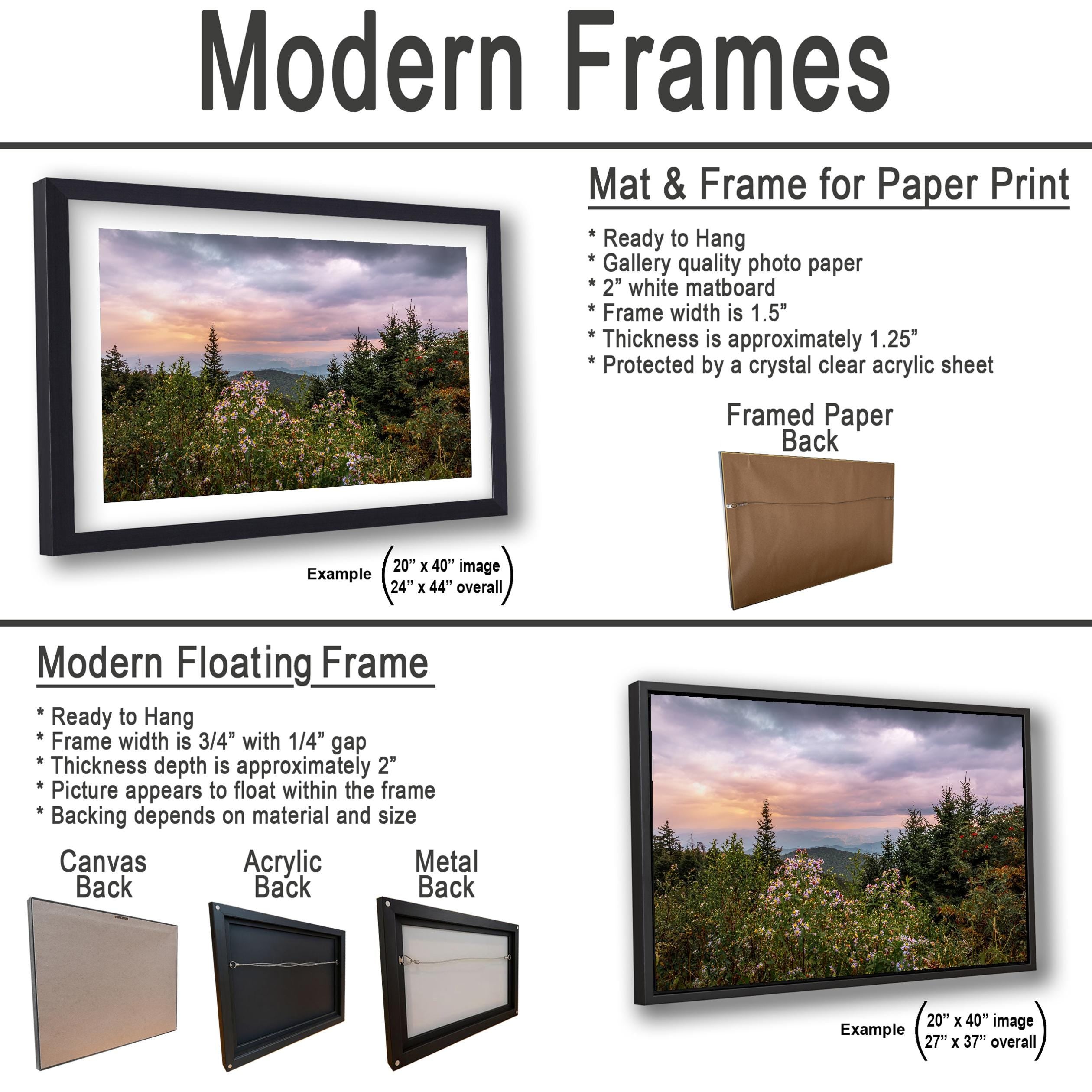 Mountain Wildflowers: Great Smoky Mountains Tennessee Photography Wall Art