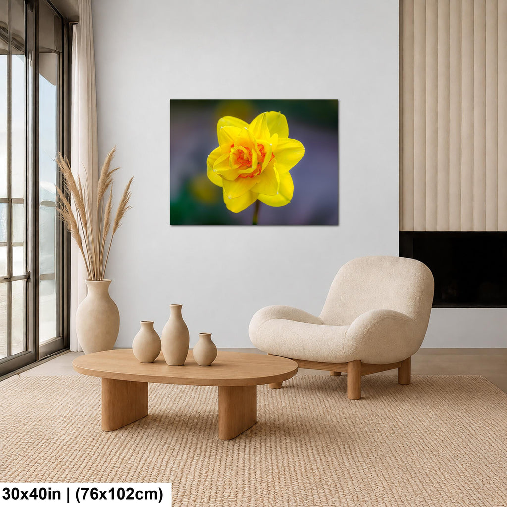 Golden Ruffles: Yellow Daffodil Flower Botanical Photography Wall Art