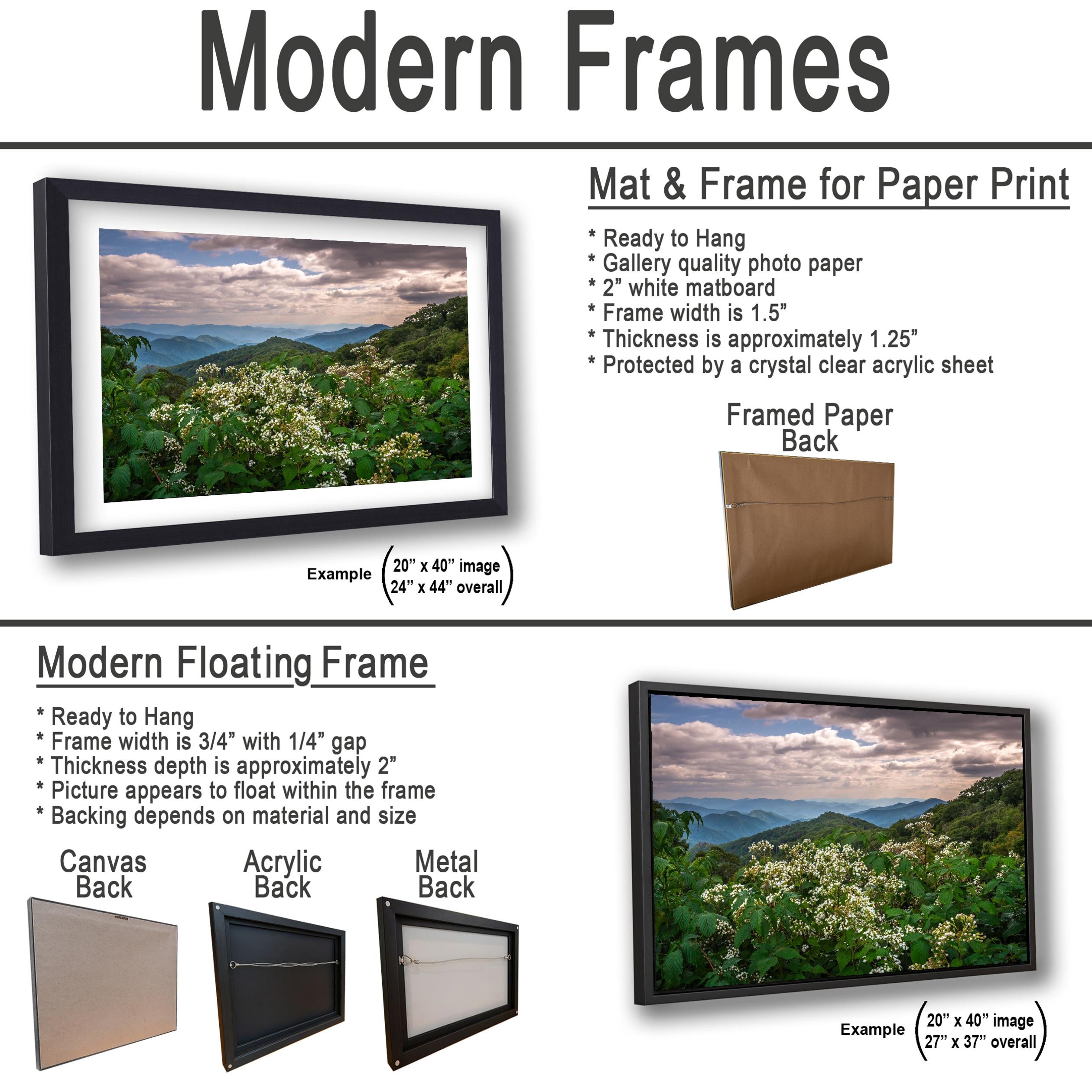Mountain Meadow: Wildflowers Great Smoky Mountains Tennessee Photo Wall Art