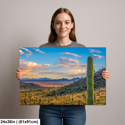Desert Valley View with Saguaros, Casa Grande Arizona, Photography Wall Art