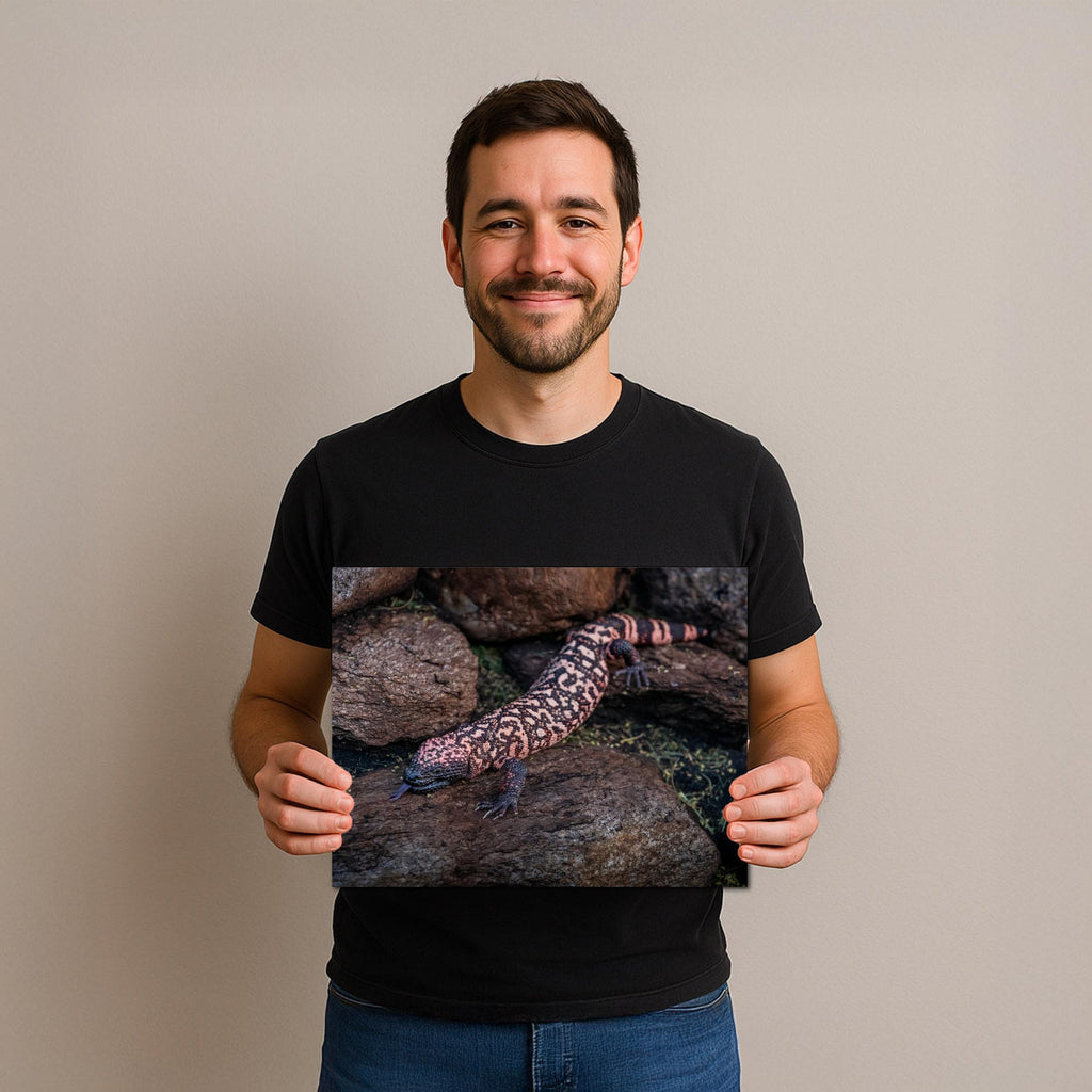 Gila Monster Print – Desert Wildlife Art | Arizona Reptile Photography Canvas