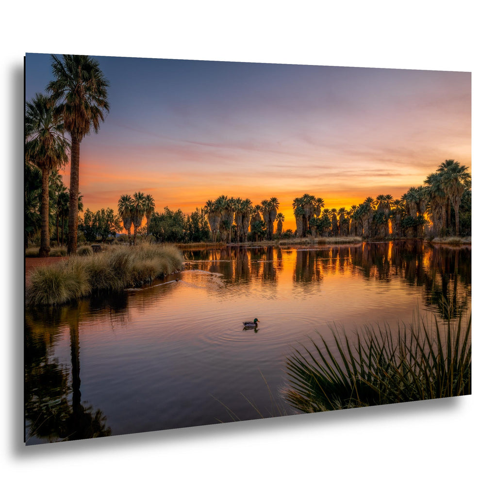 Agua Caliente Park Sunset Reflection, Tucson Arizona Photography Print, Desert Oasis Wall Art, Palm Tree Landscape Decor