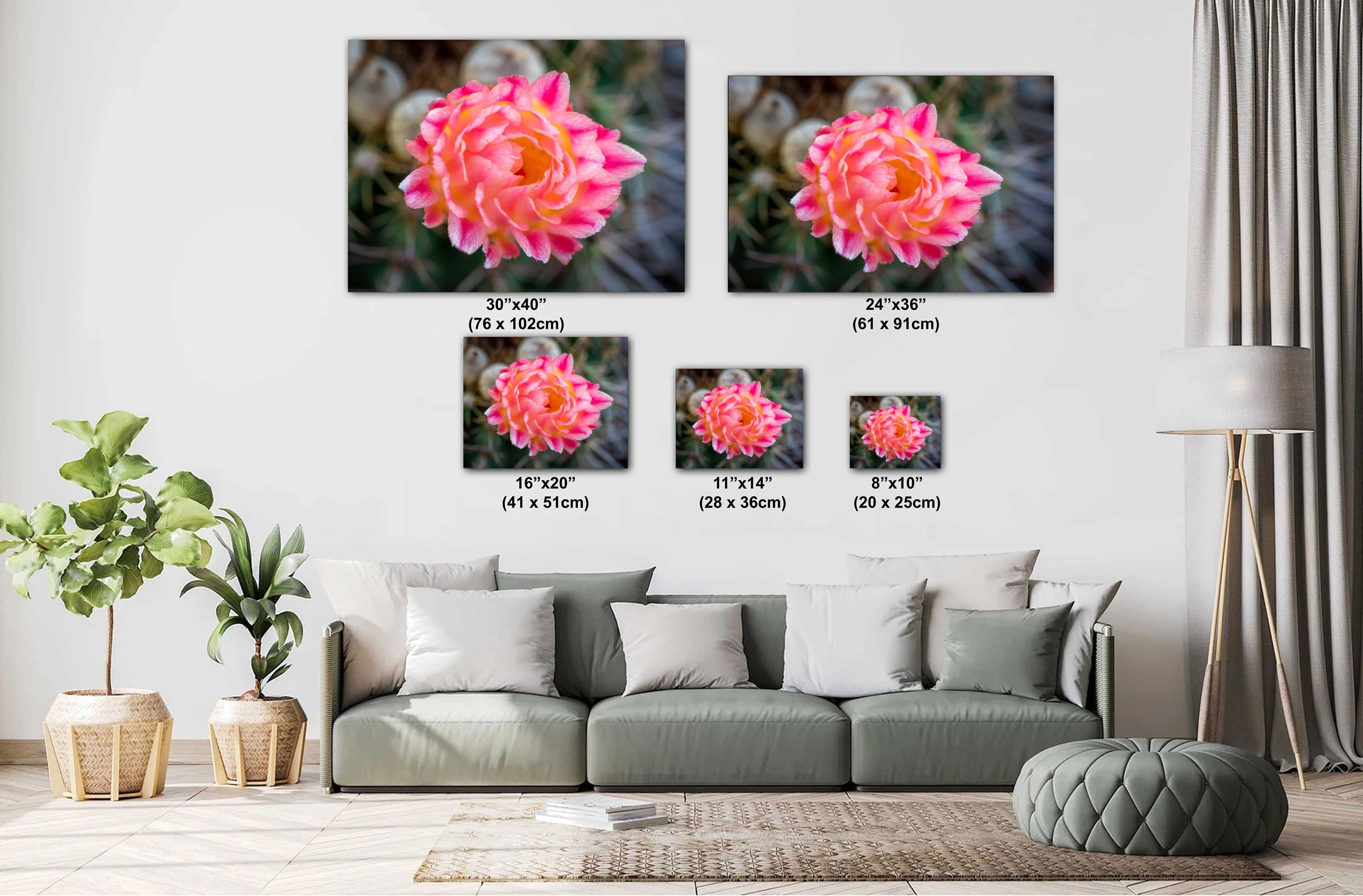 Floral artworks displayed on a wall above a sofa with size indicators.
