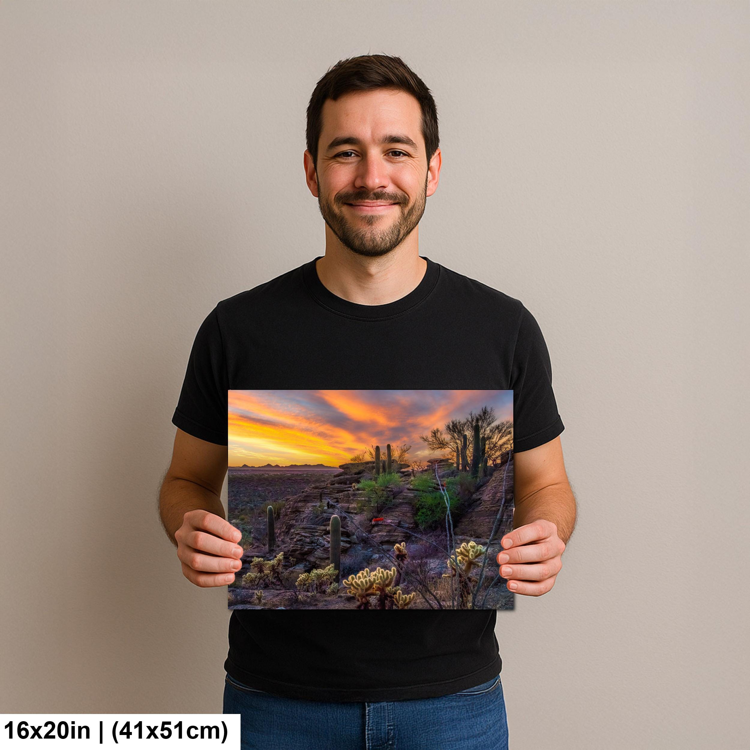 Sonoran Desert Sunset Overlook with Saguaros and Cholla Tucson Arizona Photography Print