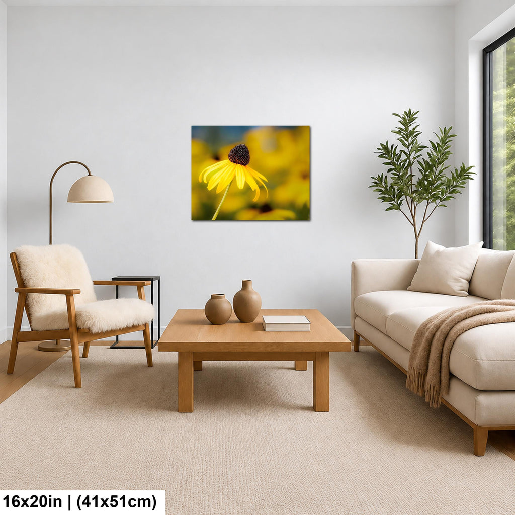 Sunlit Petals: Black-Eyed Susans Yellow Floral Photography Wall Art