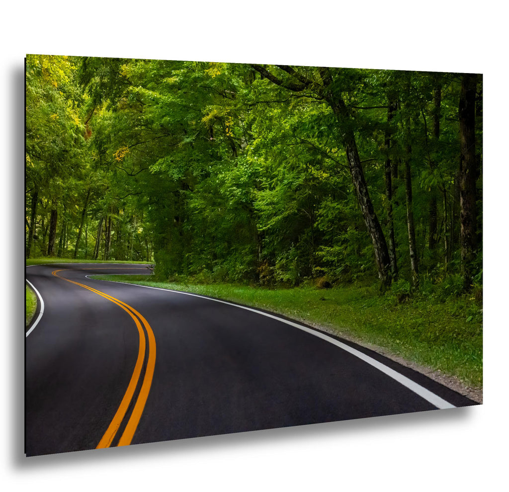 Forest Passage: Curved Road Great Smoky Mountains National Park Wall Art