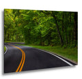 Forest Passage: Curved Road Great Smoky Mountains National Park Wall Art