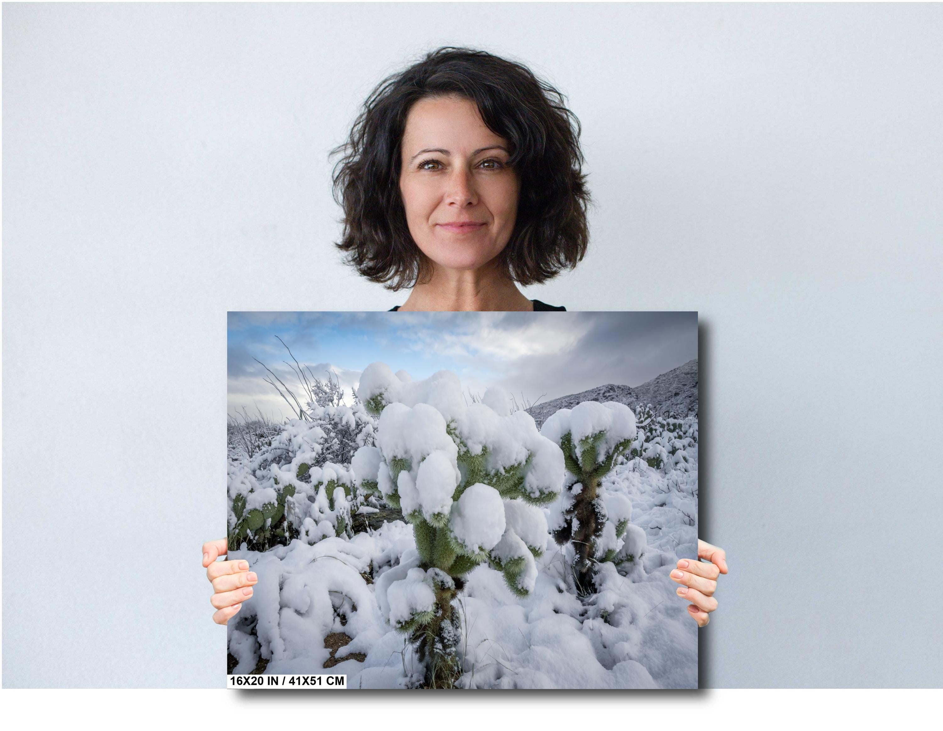 Snowy Cactus Wonderland Print: Arizona Winter Desert Photography